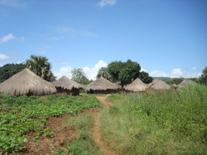 The traditional thatched huts of Northern Uganda.