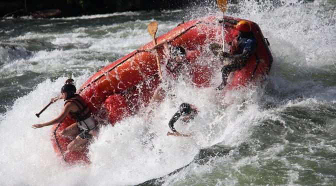 The wild side of Uganda…